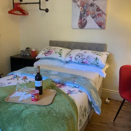 Mountroyal Victorian Studio Self Catering Apartment 3 Belfast Exterior photo