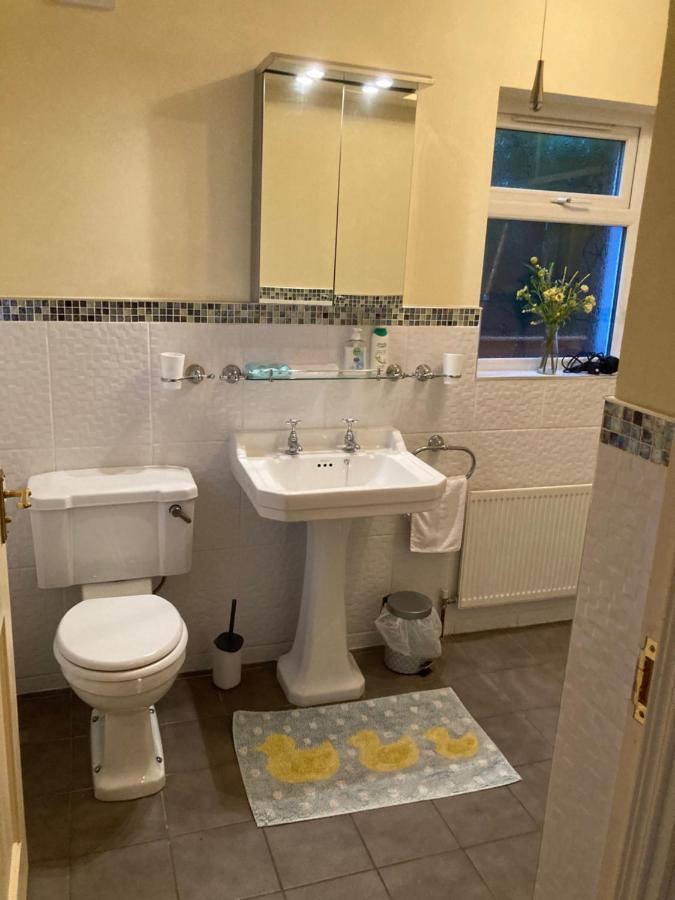 Mountroyal Victorian Self Catering 3 Apartment Belfast